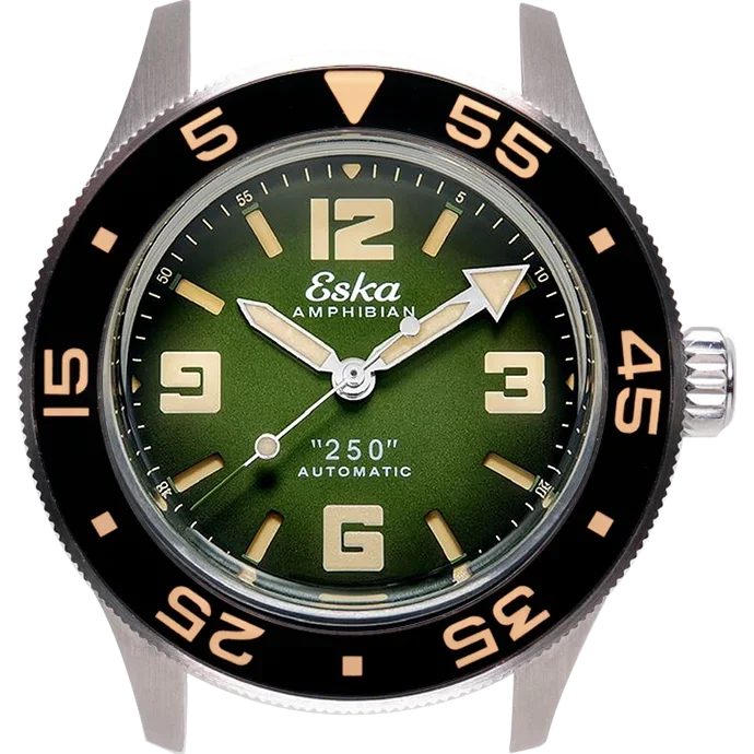 Cadran GREEN TURTLE